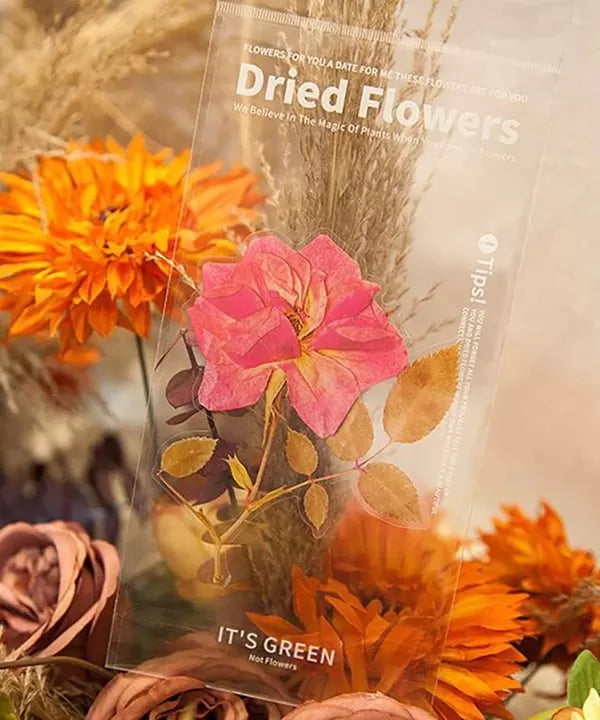 Big Size Dried Flowers Stickers Set
