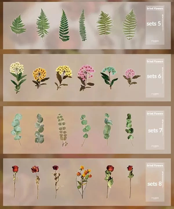 Big Size Dried Flowers Stickers Set