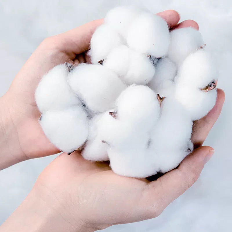 Baby's Comfortable Cotton Breathable Training Pants