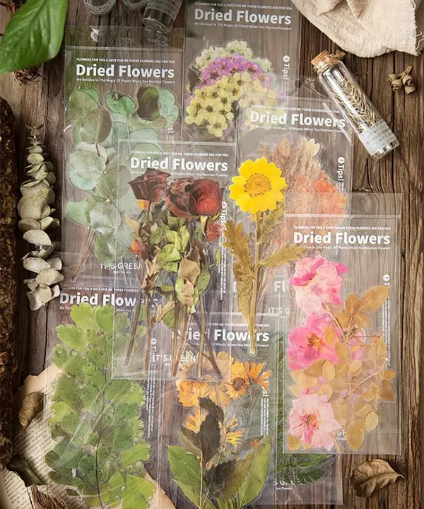Big Size Dried Flowers Stickers Set