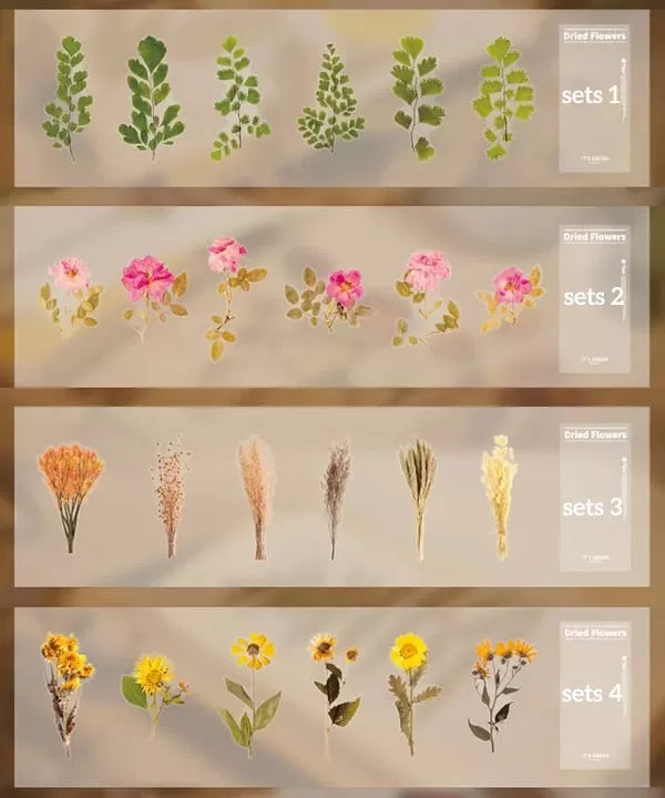 Big Size Dried Flowers Stickers Set